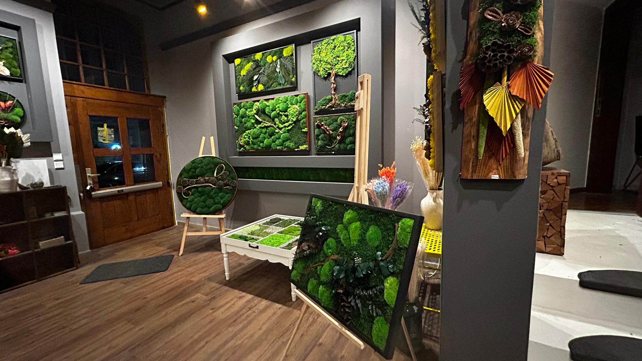 galleryImage1