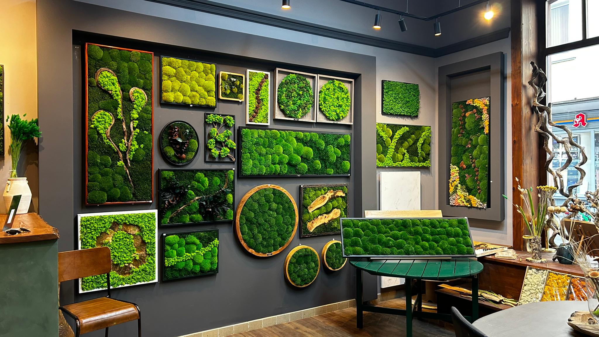 galleryImage5