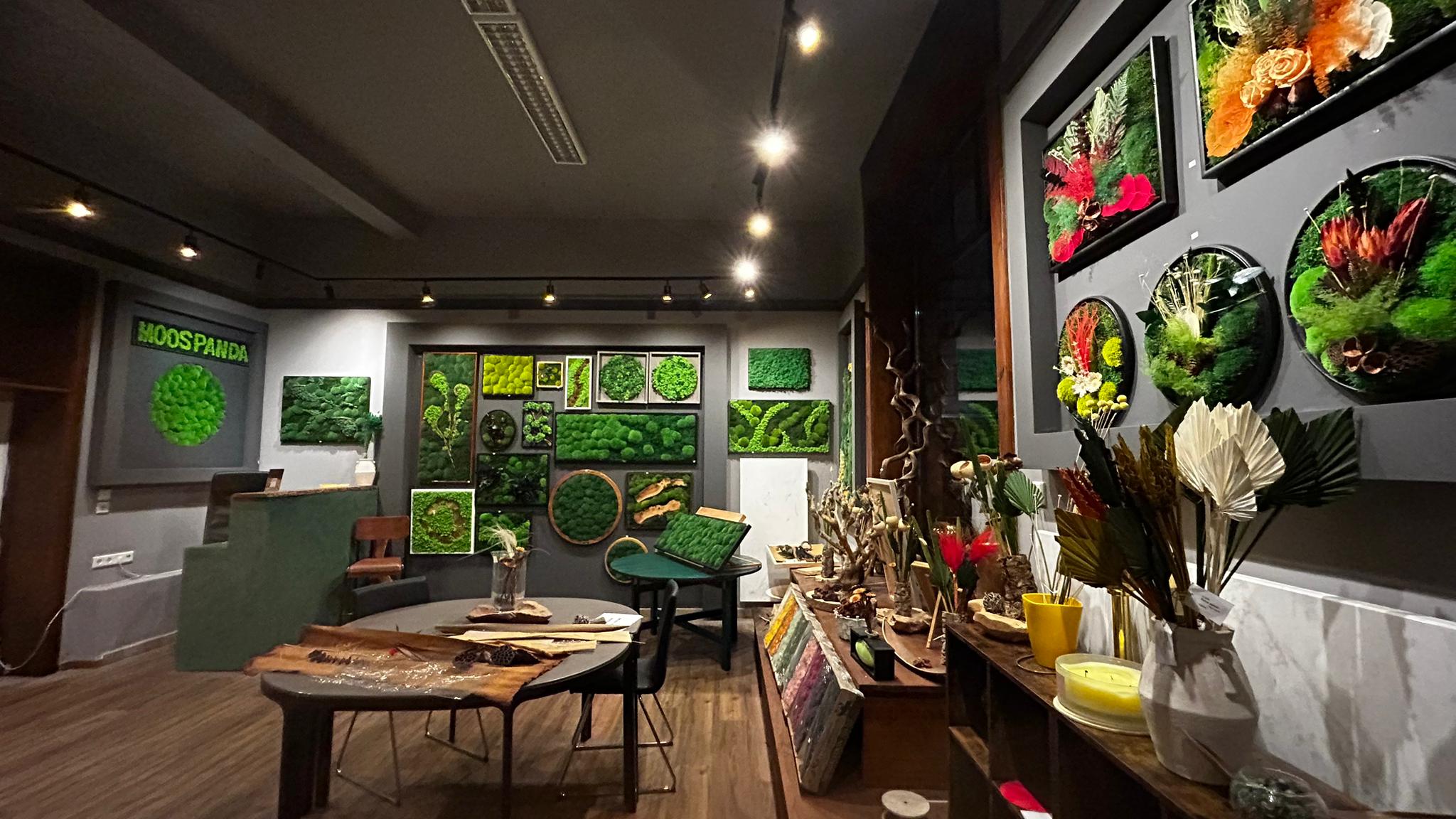 galleryImage8